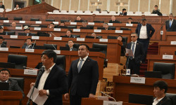 Депутаттар парламенттин түзүмүн жактырды