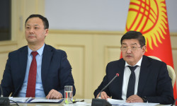 Чет өлкөдөгү кыргызстандыктардын кызыкчылыктарын коргоо