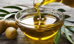 Илимпоздор зайтун майынын пайдасын изилдеп көрүштү 
