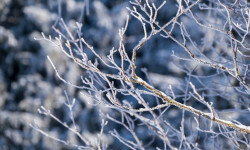 Кыргызстандын аймагында 17-19-январь күндөрү туруксуз аба ырайы күтүлөт