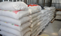 Өзбектан, Казакстан жана Россиядан келген ундардын сапатына экспертиза жүргүзүлдү