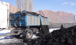 «Кумтөр» компаниясы тоолуу Нарын облусунун тургундарына бекер көмүр таратууда 