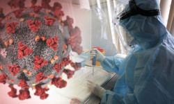 COVID-19: Дарылануунун жолдору