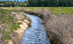 Быйыл өлкөнүн бардык облустарында сугат мезгили эрте башталат