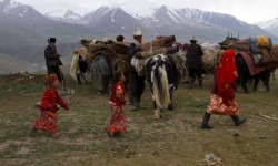  Памирлик кыргыздарга жардам берүү пландалууда