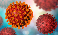 Коронавирус: жаңы 356 учур катталды