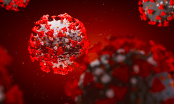 Кыргызстанда акыркы суткада 398 адамдан коронавирус табылып, беш бейтап көз жумду