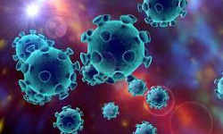 Өткөн суткада өлкөдө 276 адамдан коронавирус аныкталып, 456 бейтап айыкты