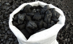 Ушул жылдын январь айында көмүрдүн чекене баасы бир пайызга төмөндөдү