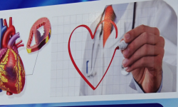 Жүрөк кан-тамыр ооруларын дарылоодо адистер жаңы ыкмага өтүштү