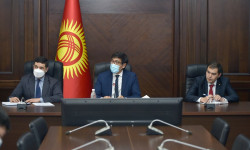 Министрлер Кабинетинде өлкө жарандарын чет өлкөдө ишке орноштуруу маселелеси талкууланды