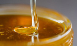 Кыргыз балын Европа биримдигине экспортоо боюнча сүйлөшүүлөр жүрүүдө 