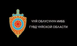 Сокулук районунда сойкукана иштетүүгө шектелген аял кармалды
