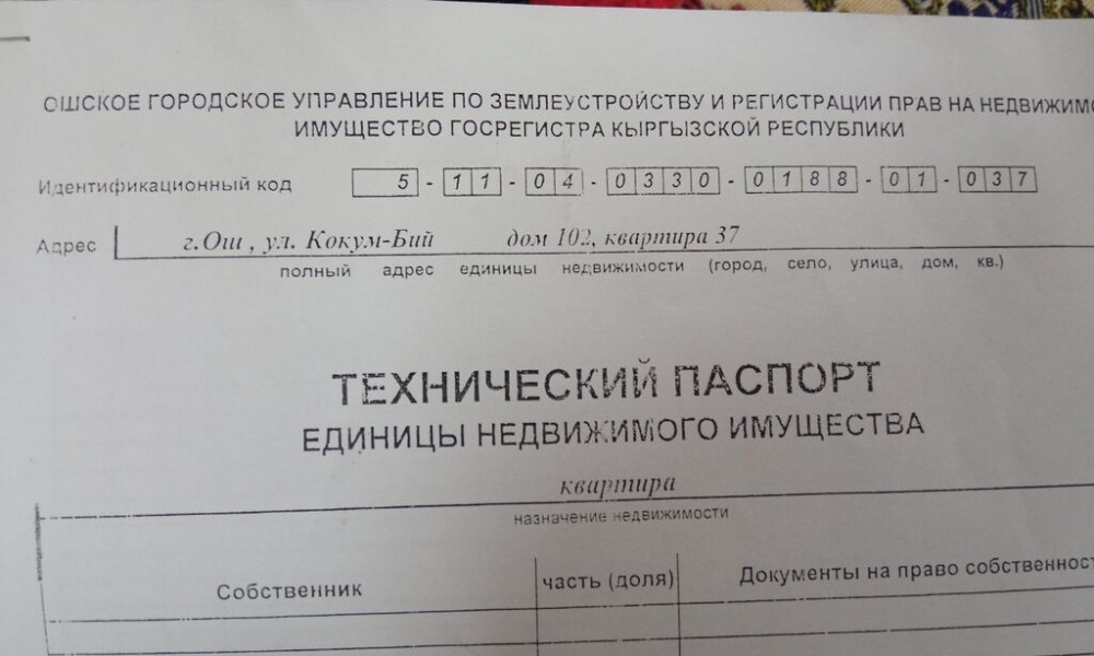 Жаңы конуштарды документтештирүү: жакында дагы 500 жаран даяр документтерин алышат