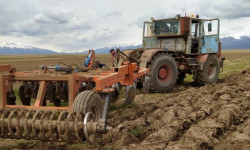 Жазгы айдап-себүү иштерине жалпы 45-50 миң тонна жер семирткич керектелет