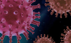 COVID-19: Акыркы суткада 274 адам илдеттен айыкса, 3 бейтап каза болду 