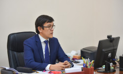 Өкмөт өлкөгө эмделгендер кирген учурда милдеттүү ПЧРди алып салууну тапшырды 