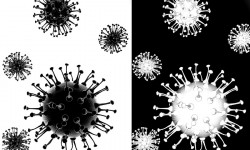 COVID-19: 2022-жылдын 7-февралынан 11-февралга чейинки статистика