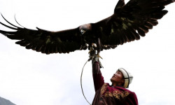 Франциянын "М 6" телеканалы Кыргызстан жөнүндө көрсөтөт