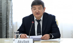 Министрлер Кабинетинин башчысы ЕБ БА боюнча атайын өкүлү Терхи Хакала менен жолугушту