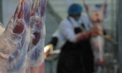 Эт, сүт, балык жана бал өндүргөн жергиликтүү фермерлер гранттык каражат алышты 