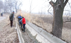 Бир да талааны бош калтырбай, эгин айдоо үчүн бардык аракеттер көрүлүүдө  