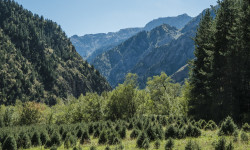 Токтогул токой чарбасынын базасында заманбап күнөскана курулду