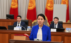 Акыйкатчы кызматына Атыр Абдрахматова тандалды