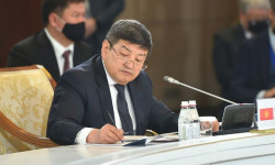 Тоолордун экосистемасын жана климаттык туруктуулукту коргоо жылын өткөрүү боюнча Жол картасы бекитилди