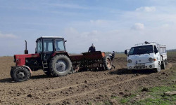 Жазгы талаа иштери күчүндө