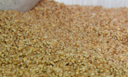 Казакстандан Кыргызстанга гуманитардык жардам катары миң тонна буудай үрөнү келди 