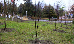 Ош шаары менен Ош облусунда жалпы республикалык ишембилик өттү