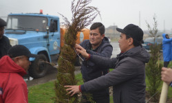 Жалал-Абад облусунун бардык район, шаарларында массалык ишембилик өттү