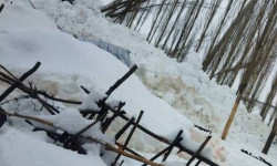 Чаткалда кар көчкү үч сарайды басып калды