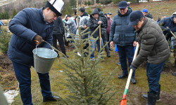 Кыргызстанда Жашыл мурас улуттук өнөктүгү башталды