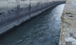 Сугат мезгилине даярдык