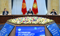 Көмүскө экономиканы ачыктап, активдердин сакталышын камсыздоо