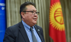 Өнүктүрүү боюнча өнөктөштөр менен өз ара аракеттенүү боюнча координациялык кеңеш түзүлдү