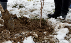 Акылбек Жапаров Аксы районунун Жерге-Тал айыл аймагындагы көрктөндүрүү иштерине катышты