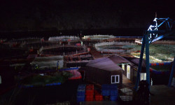 Министрлер Кабинетинин Төрагасы Акылбек Жапаров балык чарбасынын иши менен таанышты