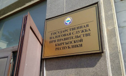 "Салык сервис" мамлекеттик мекемеси түзүлдү