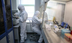 Кыргызстанда 26-мартка карата коронавирус 11 адамдан аныкталды