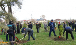 "Жашыл мурас" өнөктүгү уланууда. Бишкектеги "Ынтымак" эс алуу багына көчөттөр отургузулду