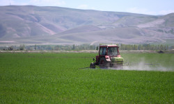  Улуттук банкка топтолгон 271,7 млн сом «Айыл банк» ачык акционердик коомуна өткөрүлүп берилди