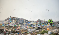 Таштандыга каршы туруу мүмкүнбү?