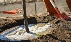 Бишкекке жакын жайгашкан конуш элинин демилгеси менен көчөттөр отургузулду