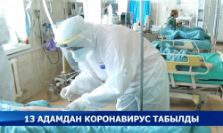 Бишкекте 3-апрелге карата коронавирус 13 адамдан аныкталды