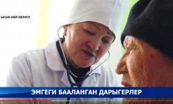 Эмгеги бааланган дарыгерлер