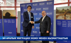 Эл аралык миграция уюму менен кызматташтык