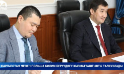Кыргызстан менен Польша билим берүүдөгү кызматташтыкты талкуулады